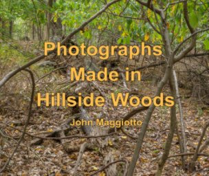 Photographs Made in Hillside Woods book cover