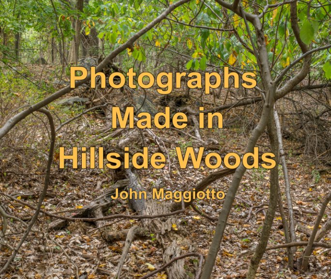 View Photographs Made in Hillside Woods by John Maggiotto