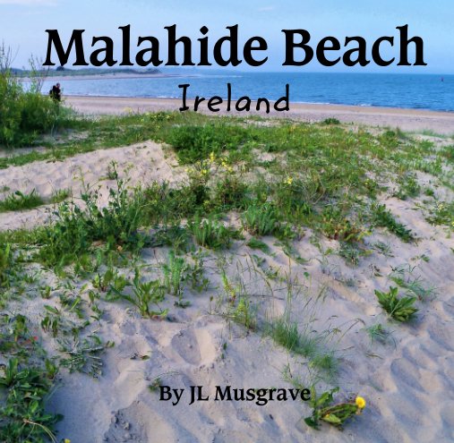 View Malahide Beach, Ireland by JL Musgrave