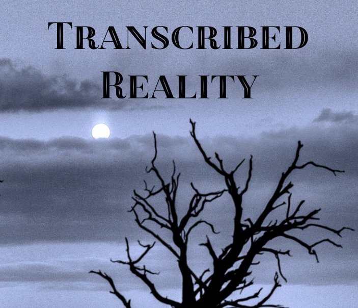 View Transcribed Reality by Walt Thirion