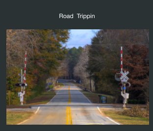 Road  Trippin ...
Georgia, North Carolina & Tennessee book cover