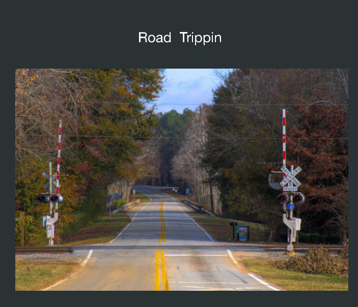 Visualizza Road  Trippin ...
Georgia, North Carolina & Tennessee di Faye Sheffield
