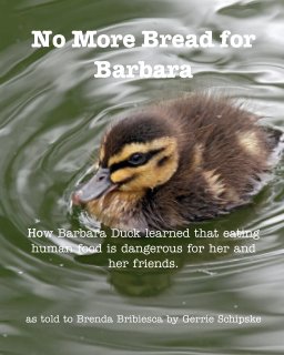 No More Bread for Barbara book cover