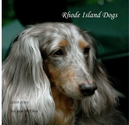 View Rhode Island Dogs by jaye McElroy