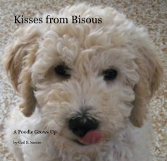 Kisses from Bisous book cover