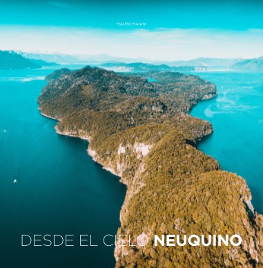 DESDE EL CIELO NEUQUINO book cover