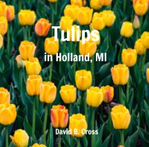 Tulips In Holland, MI book cover