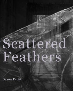 Scattered Feathers book cover