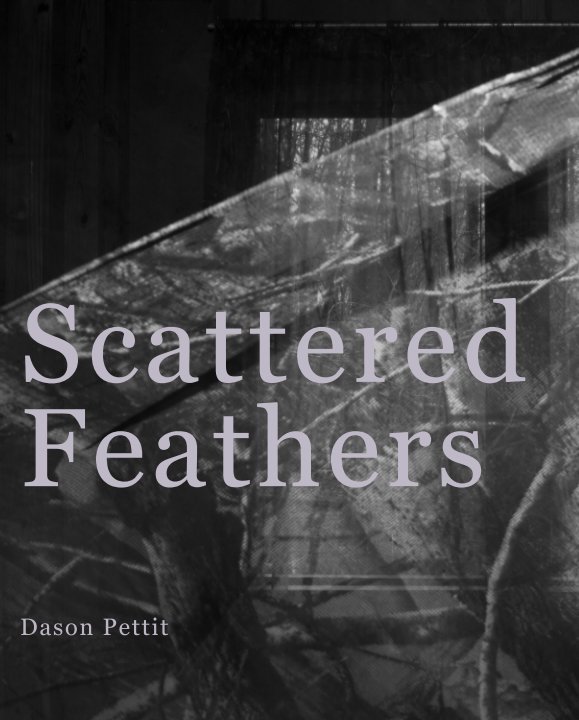 View Scattered Feathers by Dason Pettit