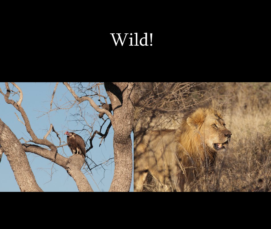 View Wild! by Arda Gerkens