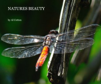 NATURES BEAUTY book cover