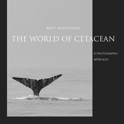 View The World of Cetacean by Britt Montesinos