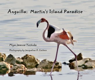 Anguilla: Martin's Island Paradise book cover