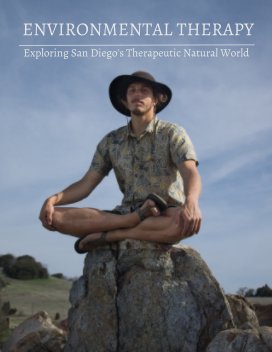 Environmental Therapy book cover