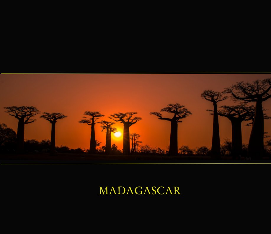 View Madagascar by Fabian Michelangeli