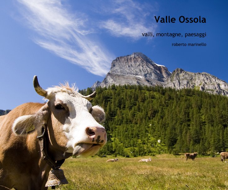 View Valle Ossola by roberto marinello
