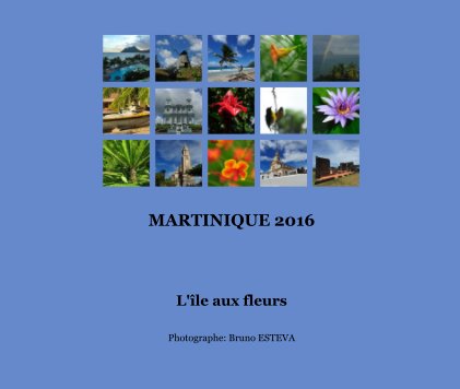 MARTINIQUE 2016 book cover