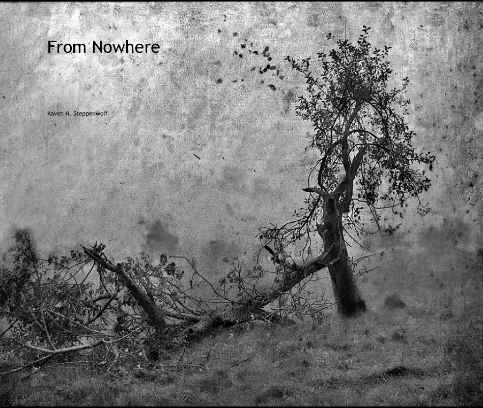 View From Nowhere by Kaveh H. Steppenwolf