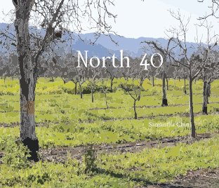 North 40 book cover