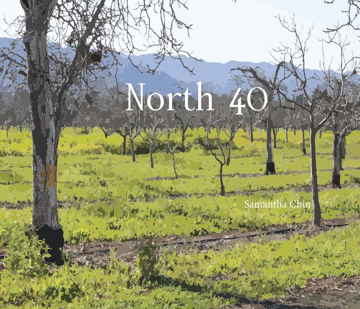 View North 40 by Samantha Chin