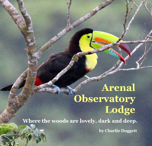 Ver Arenal Observatory Lodge por Charlie Doggett