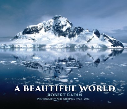 A Beautiful World book cover