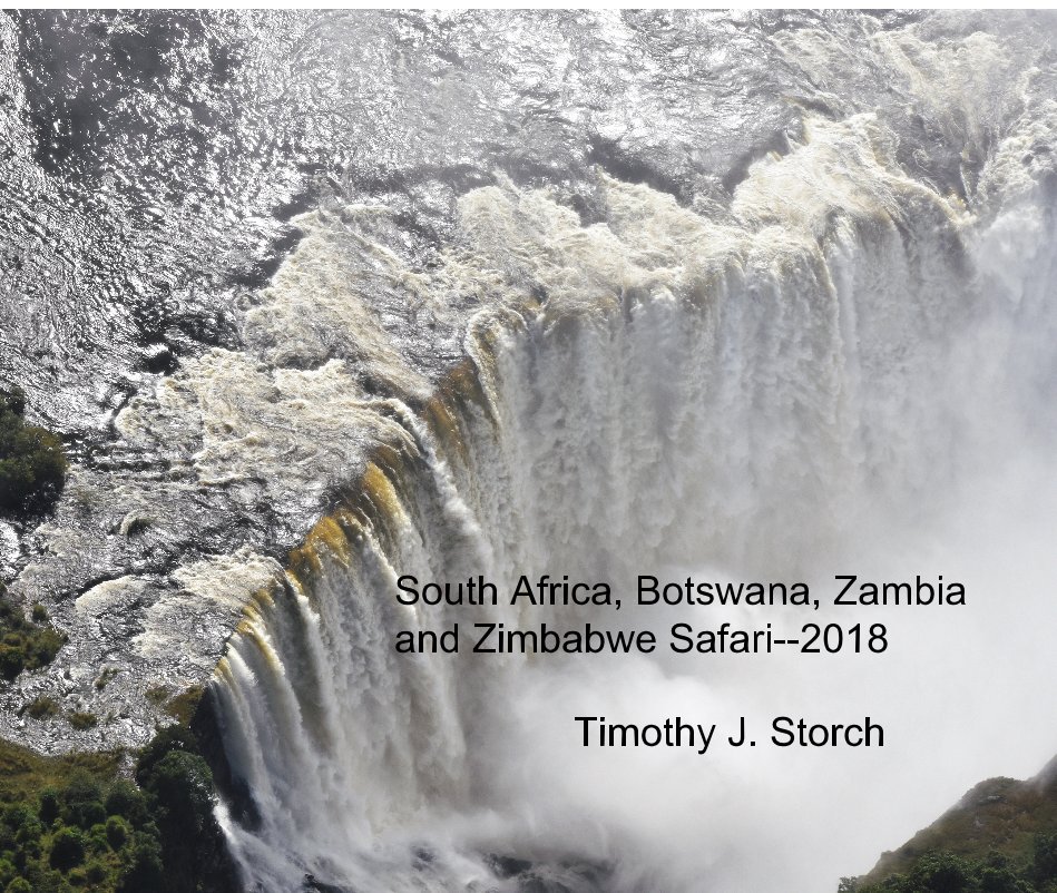 View South Africa, Botswana, Zambia and Zimbabwe Safari--2018 by Timothy J. Storch