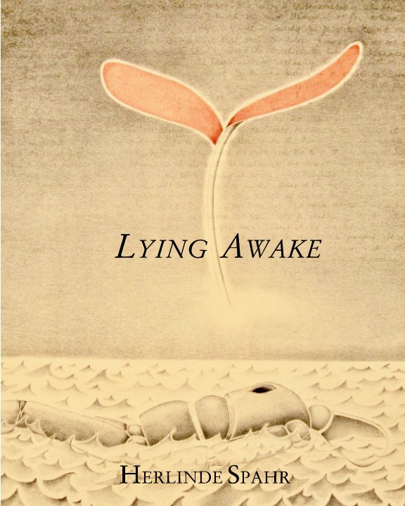 View Lying Awake by Herlinde Spahr