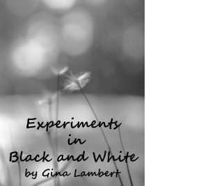 Experiments in Black and White book cover