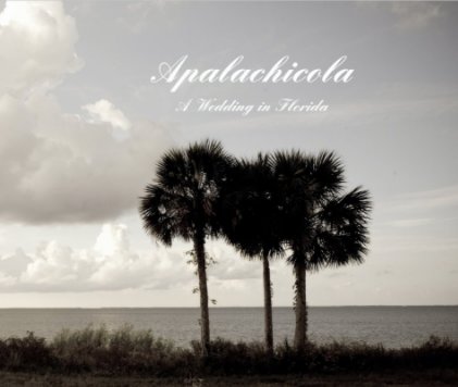 Apalachicola book cover