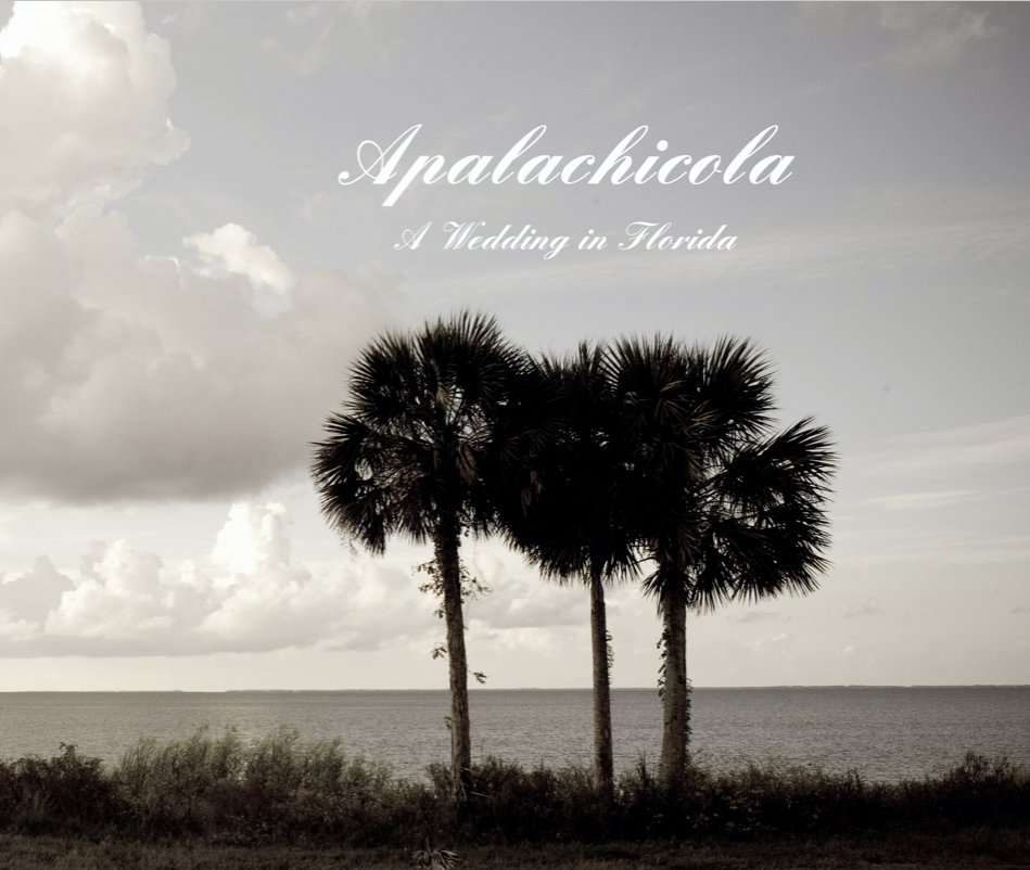 View Apalachicola by Johanna Lancaster