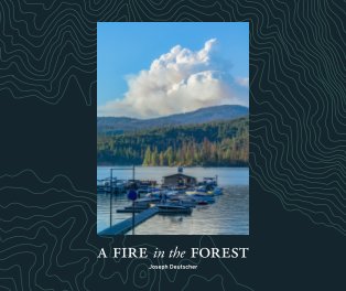 A Fire in the Forest book cover