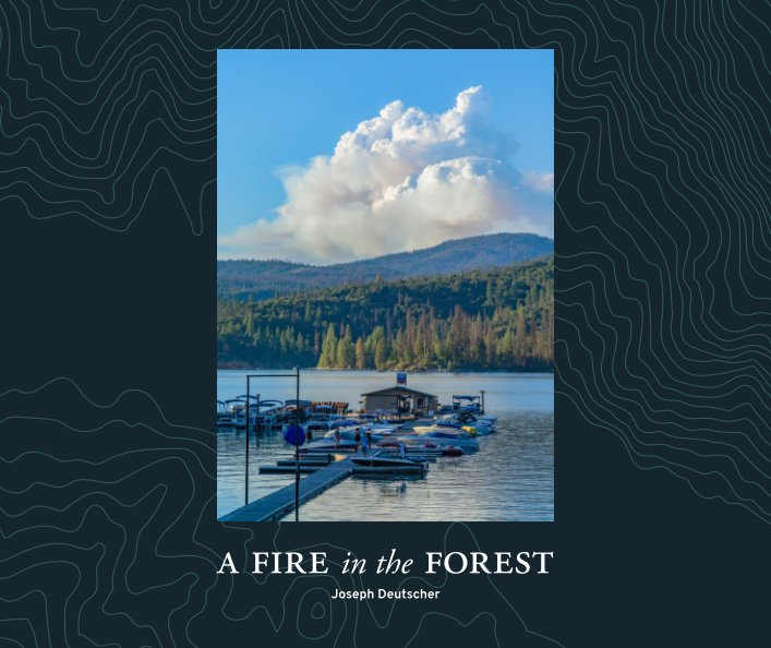 View A Fire in the Forest by Joseph Deutscher
