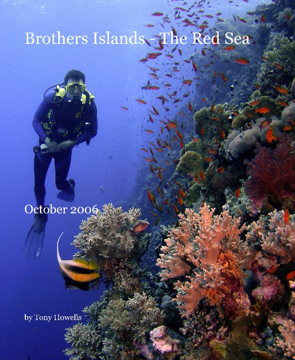 View Brothers Islands - The Red Sea by Tony Howells