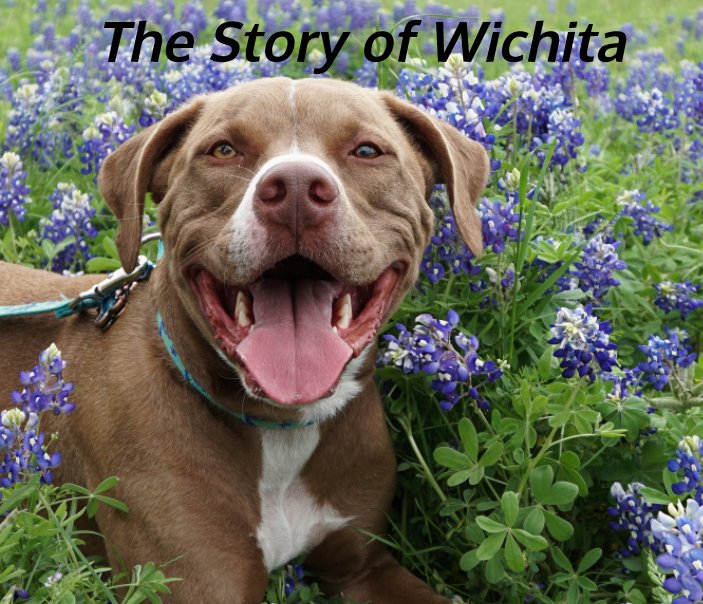 View The Story of Wichita by Heather A. Herrick