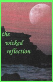 Journey 3003 - Chapter 10 The wicked reflection book cover