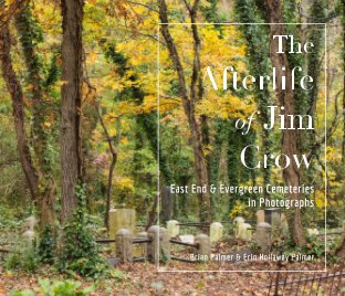 The Afterlife of Jim Crow book cover