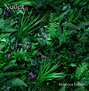 Nudez book cover