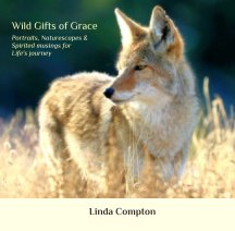 Wild Gifts of Grace: book cover