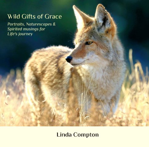 View Wild Gifts of Grace: by Linda Compton