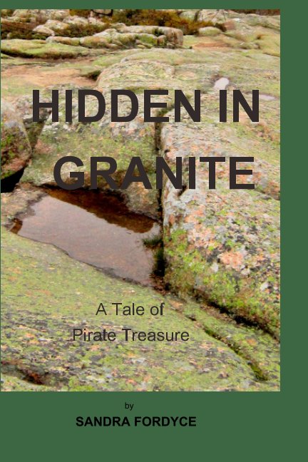 Visualizza Hidden In Granite di SANDRA FORDYCE