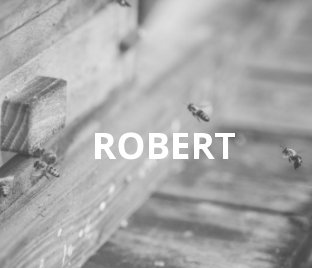Robert (31) - ein Imker & Priester unterwegs mit MacBook und MINI  (Kleine Version) NEU! book cover