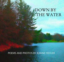 Down By the Water book cover