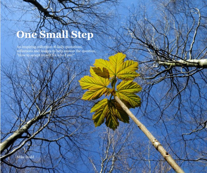 Ver One Small Step por Mike Dodd