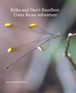 Erika and Dan's Excellent Costa Rican Adventure book cover