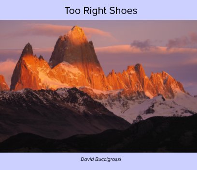 Too Right Shoes book cover