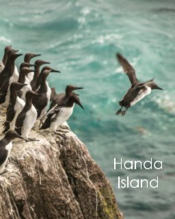 Handa Island book cover