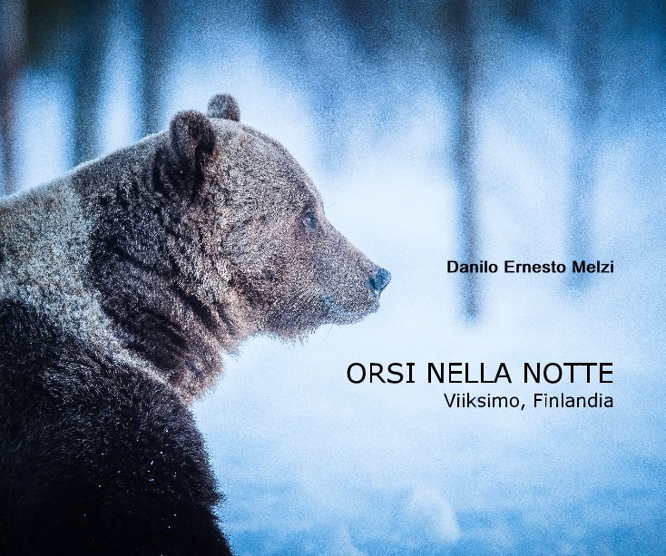 Visualizza ORSI NELLA NOTTE Viiksimo, Finlandia di Danilo Ernesto Melzi