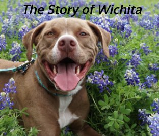 The Story of Wichita book cover