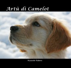 Artù di Camelot book cover